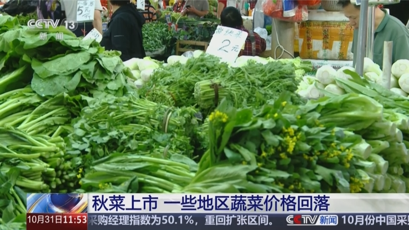 秋菜上市 一些地區蔬菜價格回落